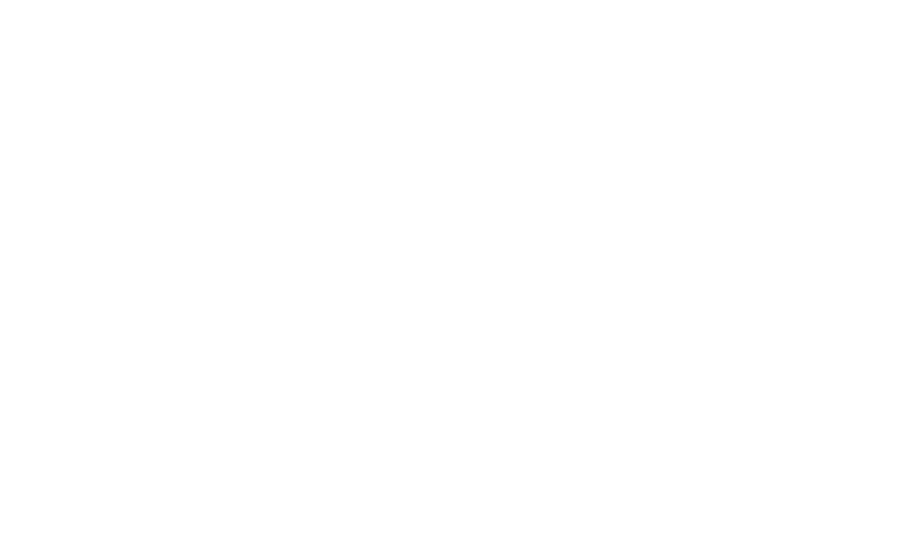 Dream Chronicle